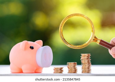 Piggy Bank And Gold Coins Line The Growth, Magnifying Glass Means Searching. Find A Source Of Funds Or Loans To Pay Off Debt Or To Invest In A Business For Profit Concept.