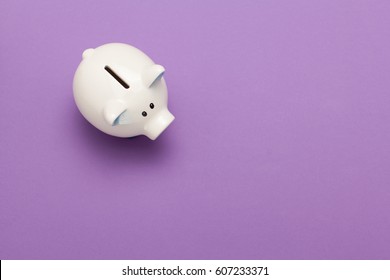 Piggy bank isolated on purple background 