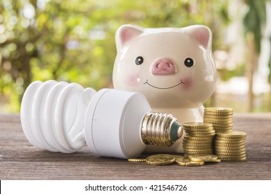 Piggy bank, lamps, coins helped prevent the use of energy, energy-saving concept.