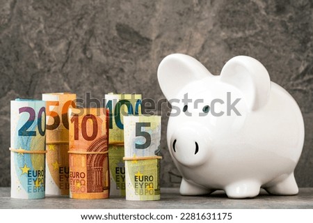A piggy bank looking to the rolled euro banknotes. The concept of preserving and increasing capital.