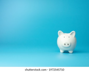 Piggy bank in minimal background style, Business, finance, investment, saving and corruption concept.	