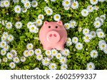 Piggy Bank on the background of blooming daisies
