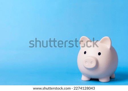 piggy bank on blue background. Finance  Investment Content