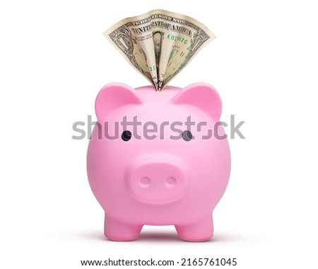 Piggy bank. Pink piggy bank or piggybank and one dollar. Saving concept for save money. Dollar bill. United States of America banking. Investment your money in business. Macro High resolution photo.