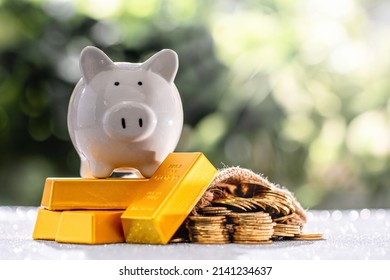 A Piggy Bank Placed On Top Of A Gold Bar And Money Bag Placed Together. Wealth Obtained From The Management Plan To Save Money For Future And Emergency Use Or Profit From Business Investment Concept.