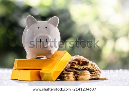 A piggy bank placed on top of a gold bar and money bag placed together. Wealth obtained from the management plan to save money for future and emergency use or profit from business investment concept.