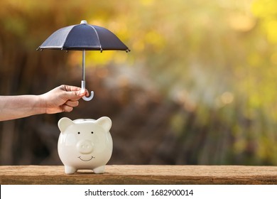 Piggy bank and woman hand hold the black umbrella for protect on sunlight in the public park, to prevent for asset and saving money for buy health insurance concept.