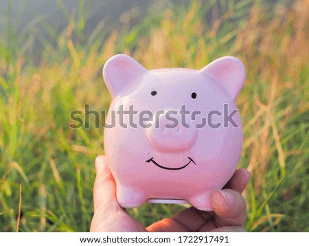 piggy save money concept, piggy bank on nature background.