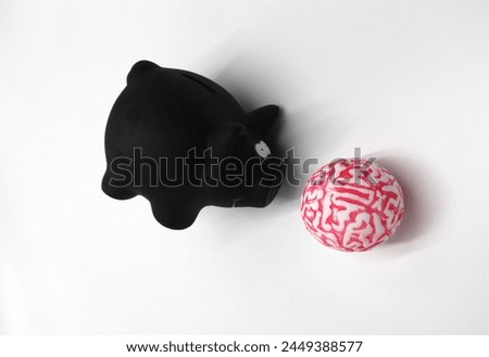 Piggybank and brainy solutions on white background