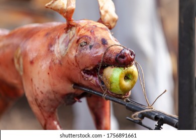 lechon with apple
