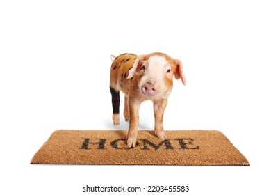 Piglet Standing On A Home Door Mat Isolated On White Background