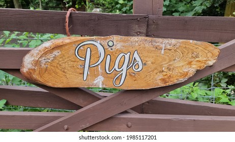 Pigs Wooden Farm Sign On Fence