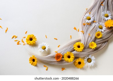 Pigtail. Chamomile And Calendula Flowers In Blond Hair.