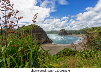 Piha New Zealand