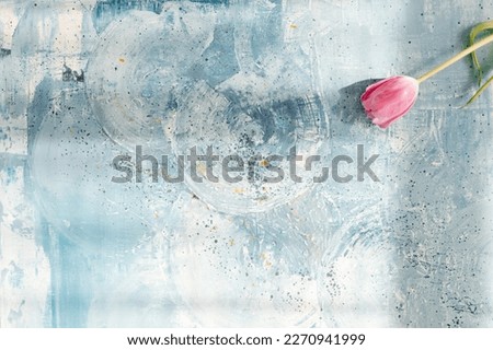 Piink fresh tulip lies on a blue and turquoise scenic art background in sun rays. Valentine's Day Background. Spring. Woman's Day, March 8th