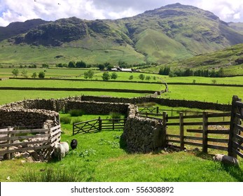 Pike Of Blisco, Lake District, Cumbria, England