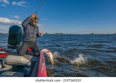 Pike fishing. Fisherman catch big muskie fish with splash in water - Shutterstock ID 2197565519