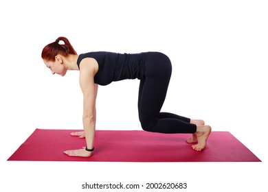 Pilates or yoga. A slender athletic girl on the mat performs a stand on all fours. Exercise Quadruped. This is the starting position for wellness exercises. Isolated on a white background. Visual aid