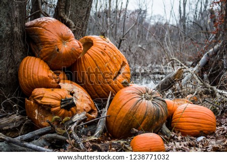 Pile of abandoned rotting pumpkins left to rot when halloween is over