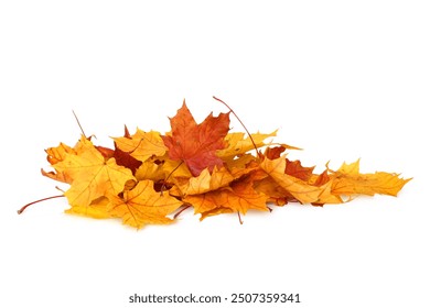 Pile of autumn colored leaves isolated on white background.A heap of different maple dry leaf .Red and colorful foliage colors in the fall season  - Powered by Shutterstock