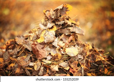 Pile Of Autumn Leaves