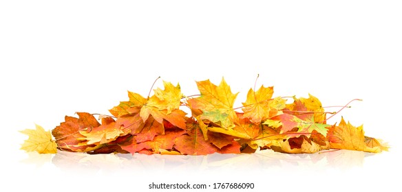 Pile Of Autumn Leaves Isolated On White Background