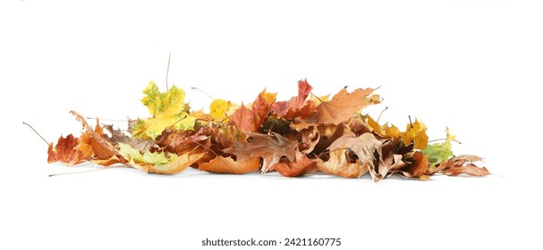 Pile of autumn leaves isolated on white - Powered by Shutterstock