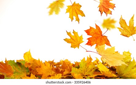 136,804 Leaf pile isolated Images, Stock Photos & Vectors | Shutterstock