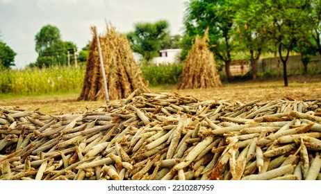 Pile Of Bajra Or Pearl Millet Crops With Straw Of Dry Crop Mountain Background.