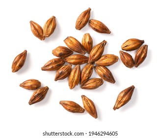 Pile Of Barley Tea, Isolated On Pure White Background, Overhead View