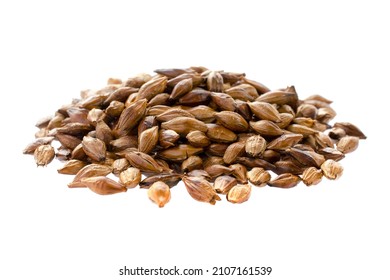 Pile of barley tea isolated on white background, top view. Malted and roasted barley isolated on white background. Roasted barley tea isolated on white, top view. Dark grains of barley. - Shutterstock ID 2107161539