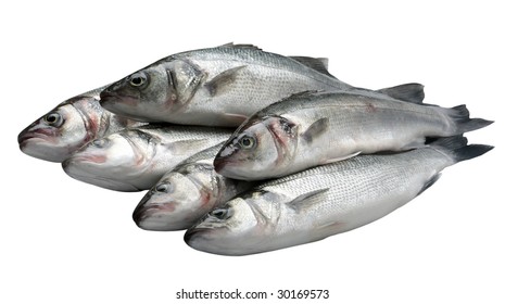 Pile Of Bass Fish On White Background