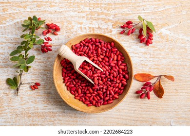 Pile of Berberis vulgaris also known as common barberry, European barberry or barberry on plate in home kicthen. Edible herbal medicinal fruit plant.
