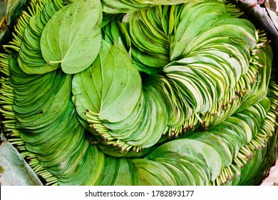 8,307 Betel Nuts With Betel Leaves Images, Stock Photos & Vectors ...