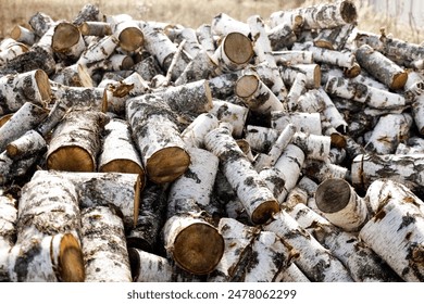 A pile of birch firewood lies on the grass. Chopped firewood stacked in a pile. Pile of logs for fireplace.