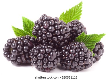 Pile Blackberry Leaves Isolated On White Stock Photo 520551118 ...