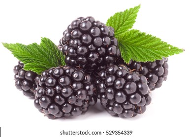 Pile Of Blackberry With Leaves Isolated On White Background