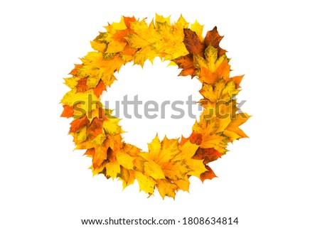 A pile of bright autumn leaves in the shape of a circle is isolated on a white background. The view from the top