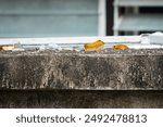 A pile of broken glass on a cement ledge. The glass is scattered and broken, with some pieces still attached to the ledge. The scene gives off a sense of disarray and neglect