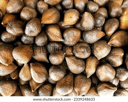 Pile of brown Snake Skin Fruit or Salak Fruit. Tropical Fruits. Asean Fruits