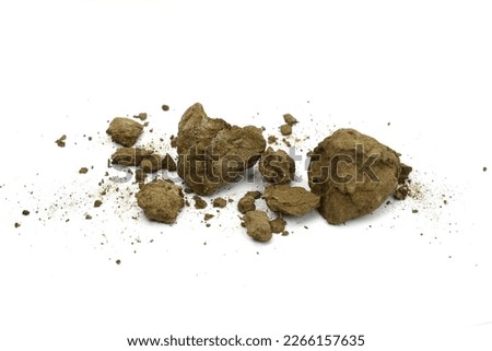 Pile of brown soil isolated on white background. a clod of earth isolated