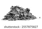 Pile of burnt paper ashes isolated on a white background. Charred paper scraps. Cinder.