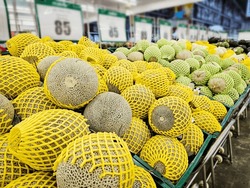 Pile Of Cantaloupe Melon Wrapped In Foam Cushioning In A Supermarket Local Market In Thailand, Organic Melon. Fresh Melon Background