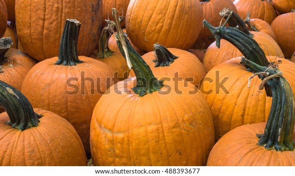 Pile Carving Pumpkin On Straw Sale Stock Photo Edit Now 488393677