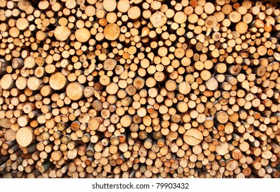 Pile Of Chopped Fire Wood Prepared For Winter