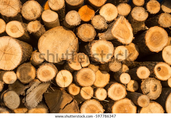 Pile of chopped wood for\
fireplace