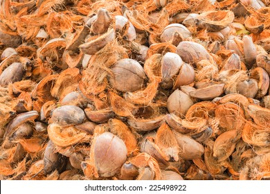 Pile Of Coconut Coir Husk