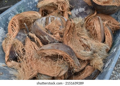 Pile of coconut fiber in a tray