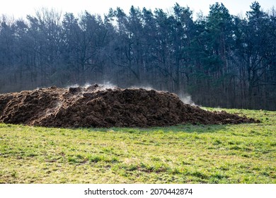 A Pile Of Cow Dung As A Symbol Of Methane Pollution Of The Atmosphere. The Strongest Greenhouse Gas Leading To Climate Change