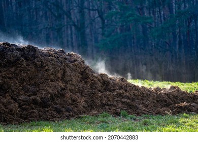 A Pile Of Cow Dung As A Symbol Of Methane Pollution Of The Atmosphere. The Strongest Greenhouse Gas Leading To Climate Change